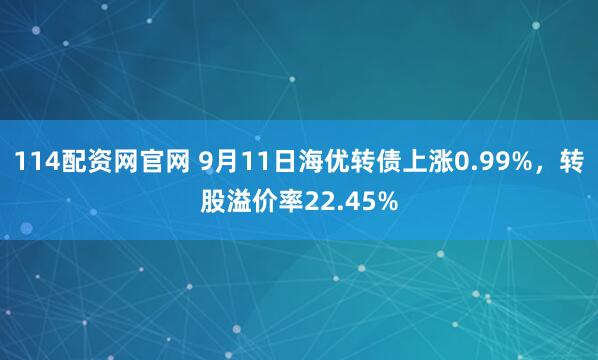 114配资网官网 9月11日海优转债上涨0.99%，转股溢价率22.45%