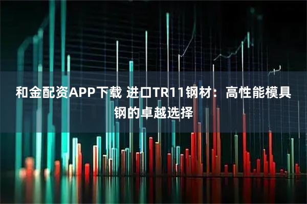 和金配资APP下载 进口TR11钢材：高性能模具钢的卓越选择