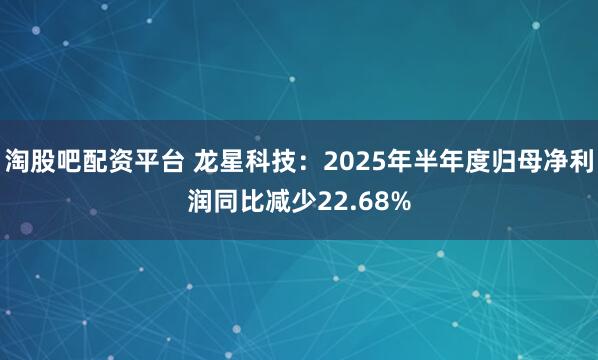 淘股吧配资平台 龙星科技：2025年半年度归母净利润同比减少22.68%